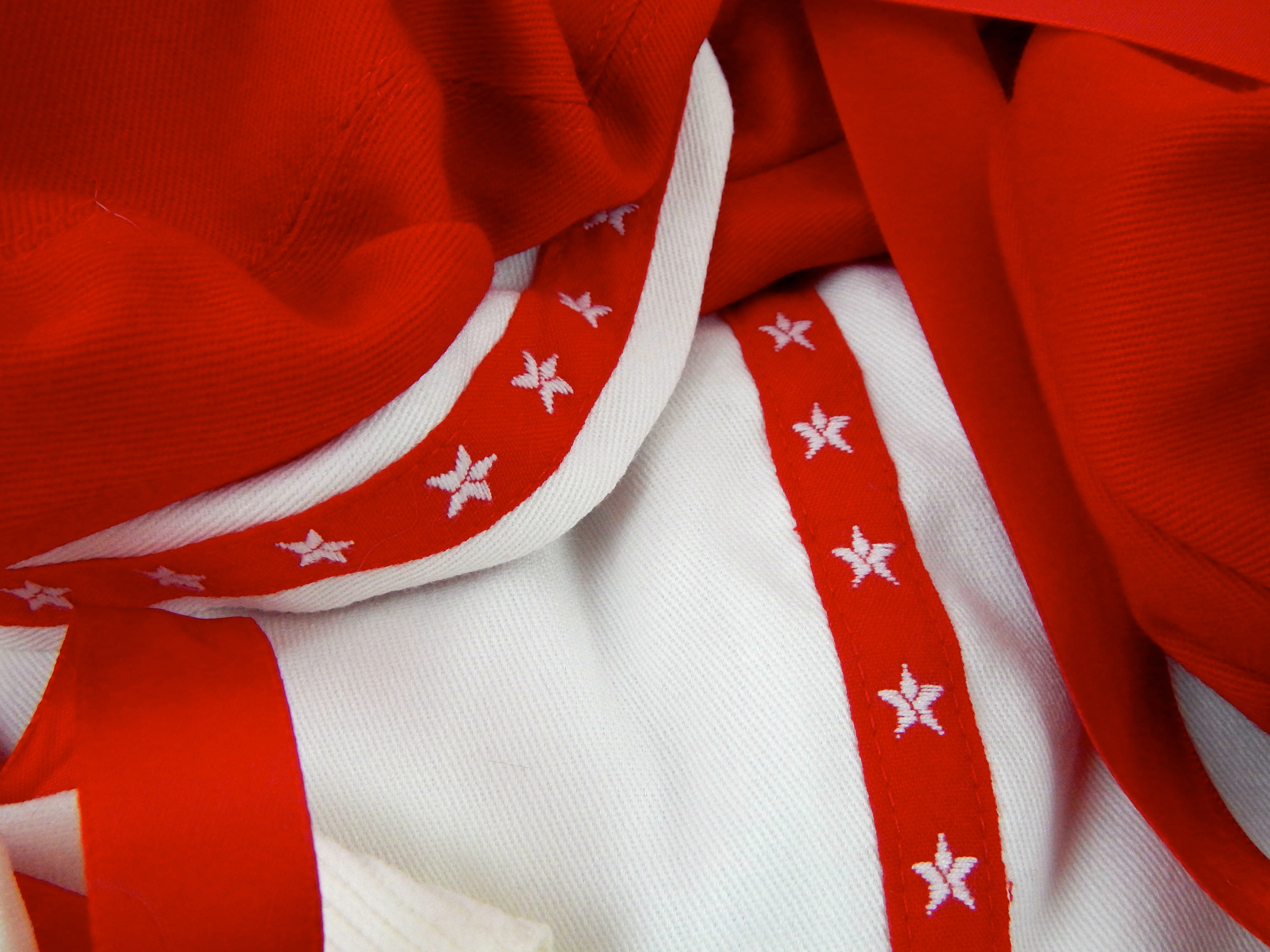 "Hilary" by Dianna Effner