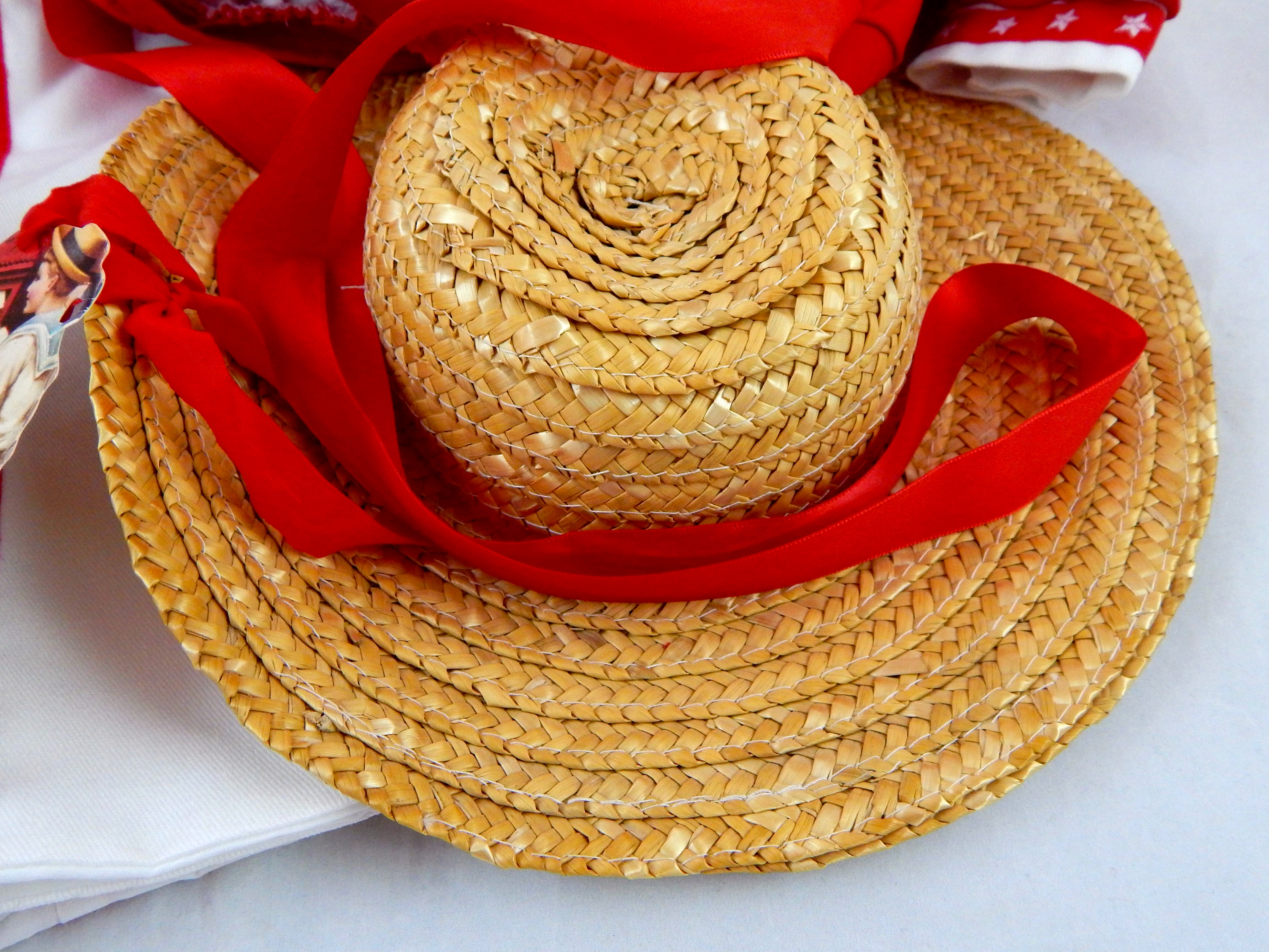 "Hilary" by Dianna Effner