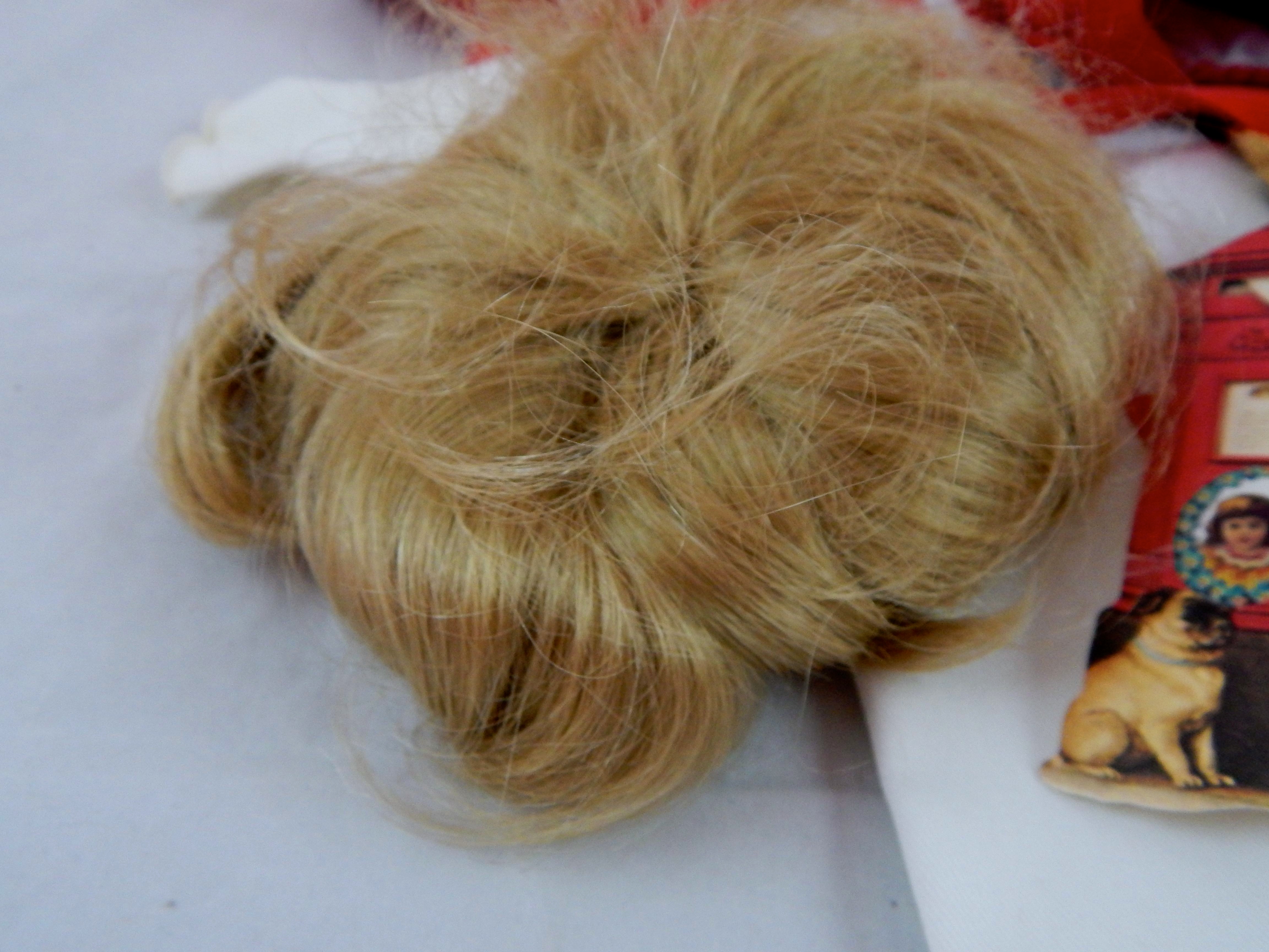 "Hilary" by Dianna Effner