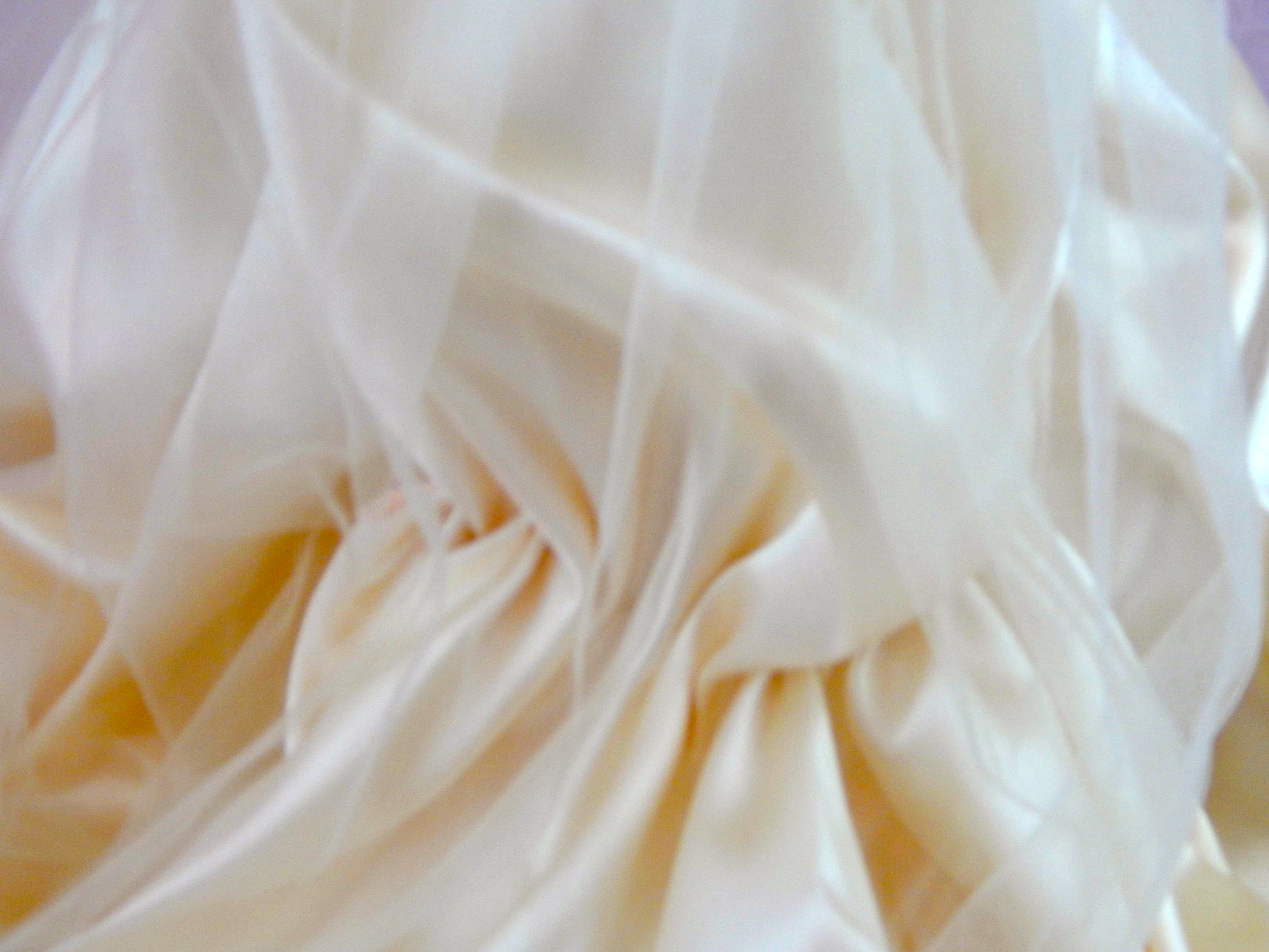 "Elizabeth" Doll  by Ashton-Drake