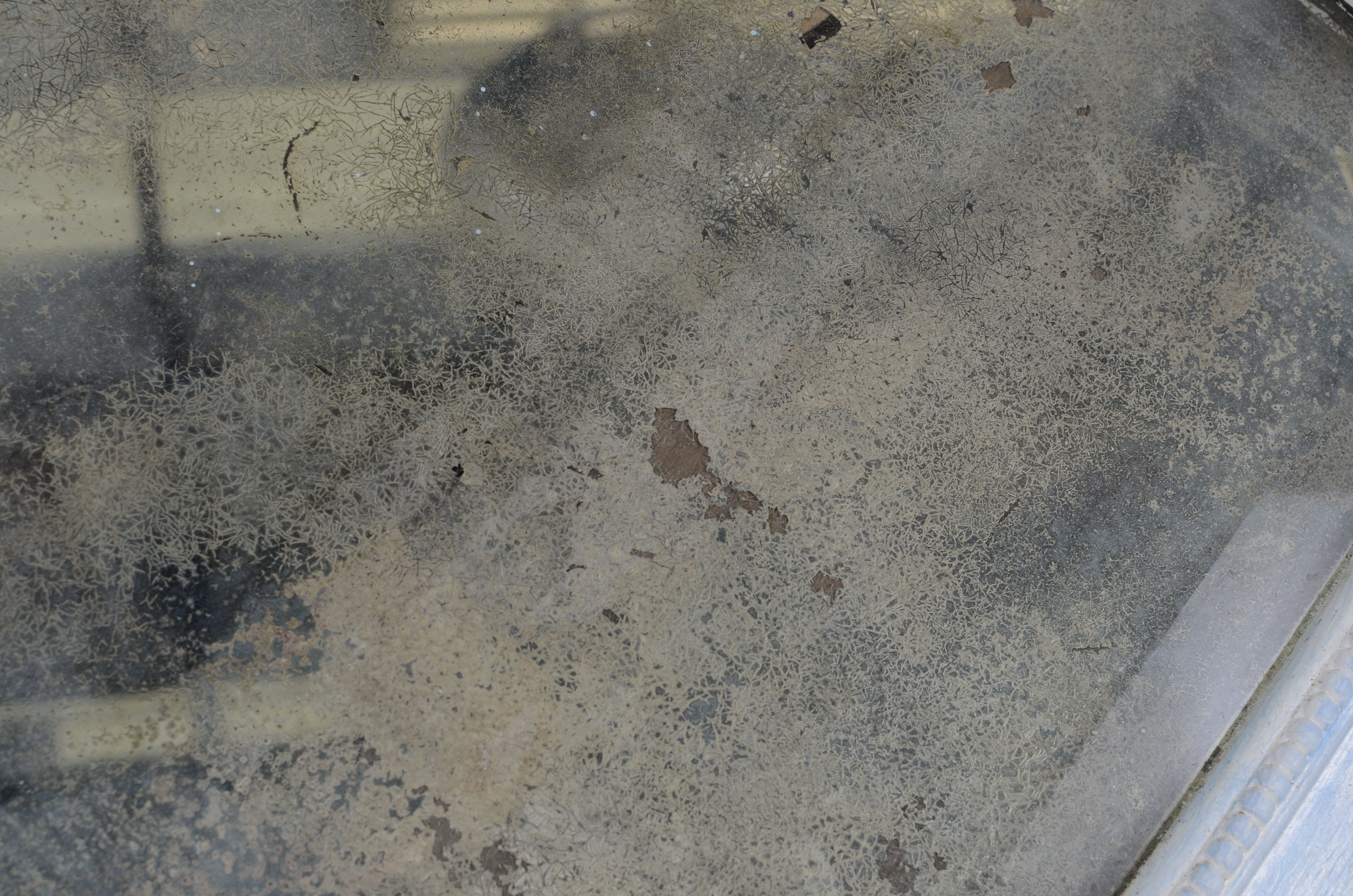 Antique Mirror Hat Tree and Metal Plant Stand