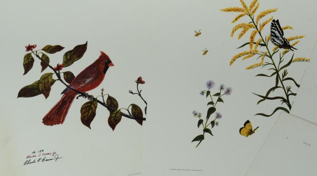 Signed and Numbered Charles T. Crume Jr. Print Collection