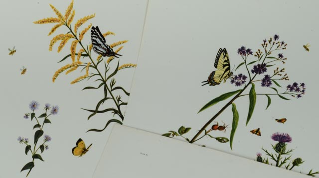 Signed and Numbered Charles T. Crume Jr. Print Collection