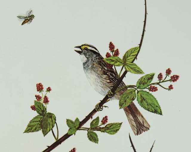 Signed and Numbered Charles T. Crume Jr. Print Collection