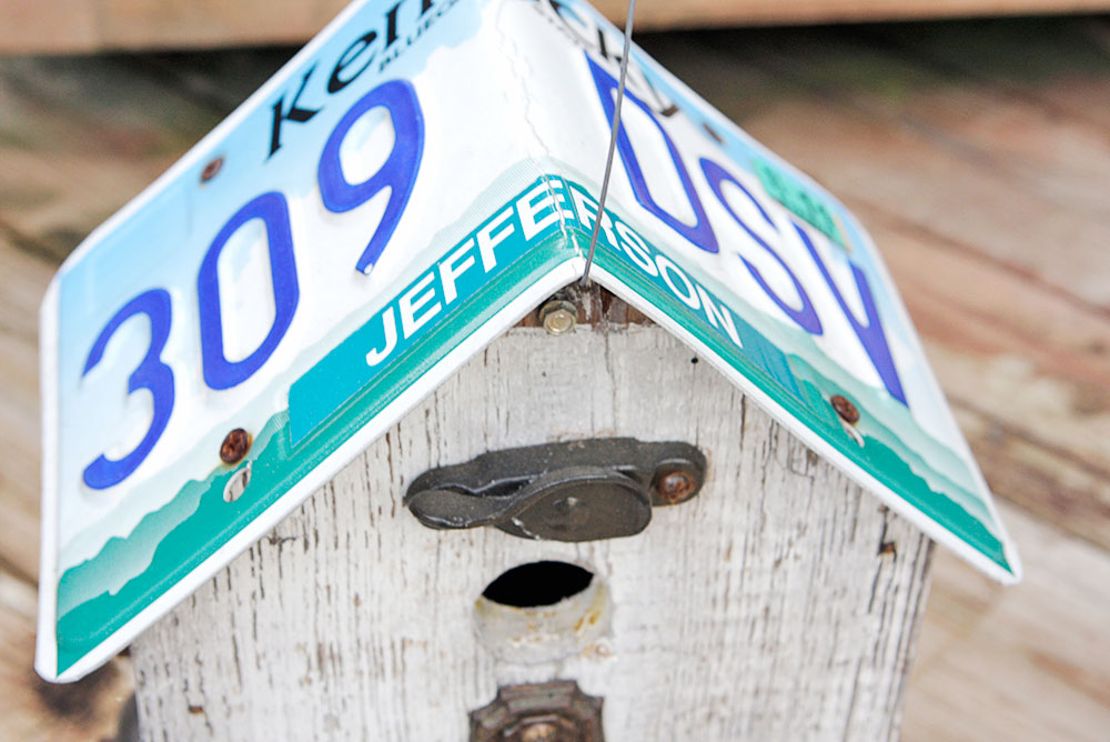 Collection of Interesting Garden Accessories