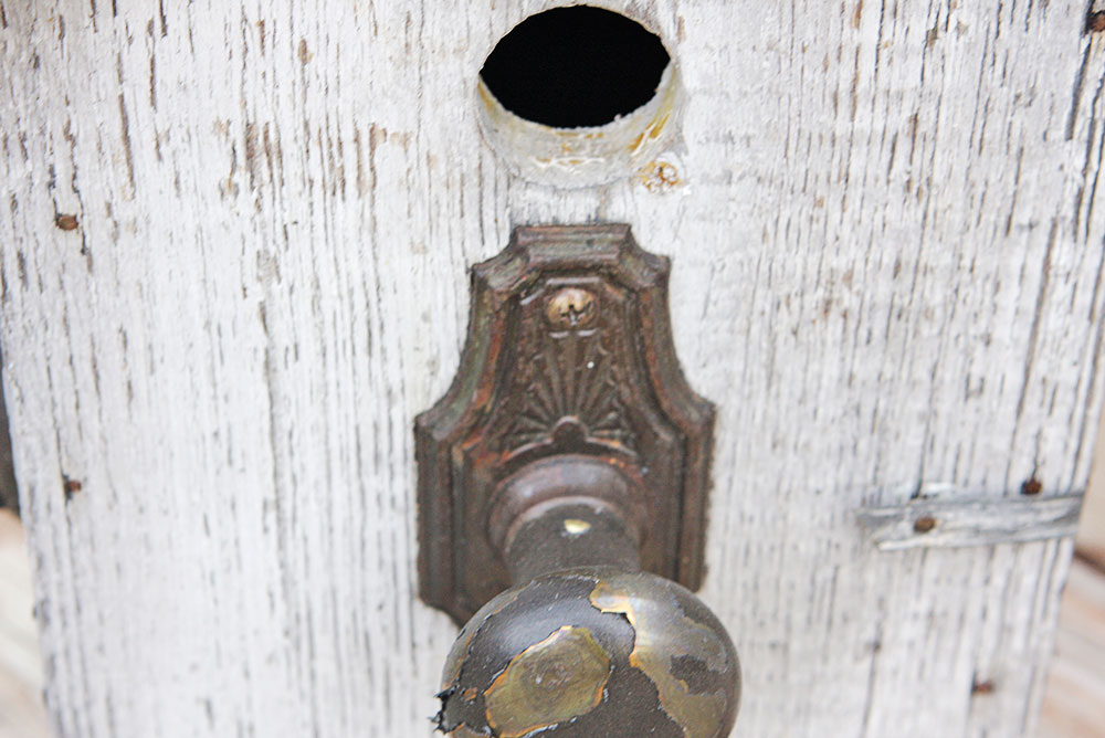 Collection of Interesting Garden Accessories