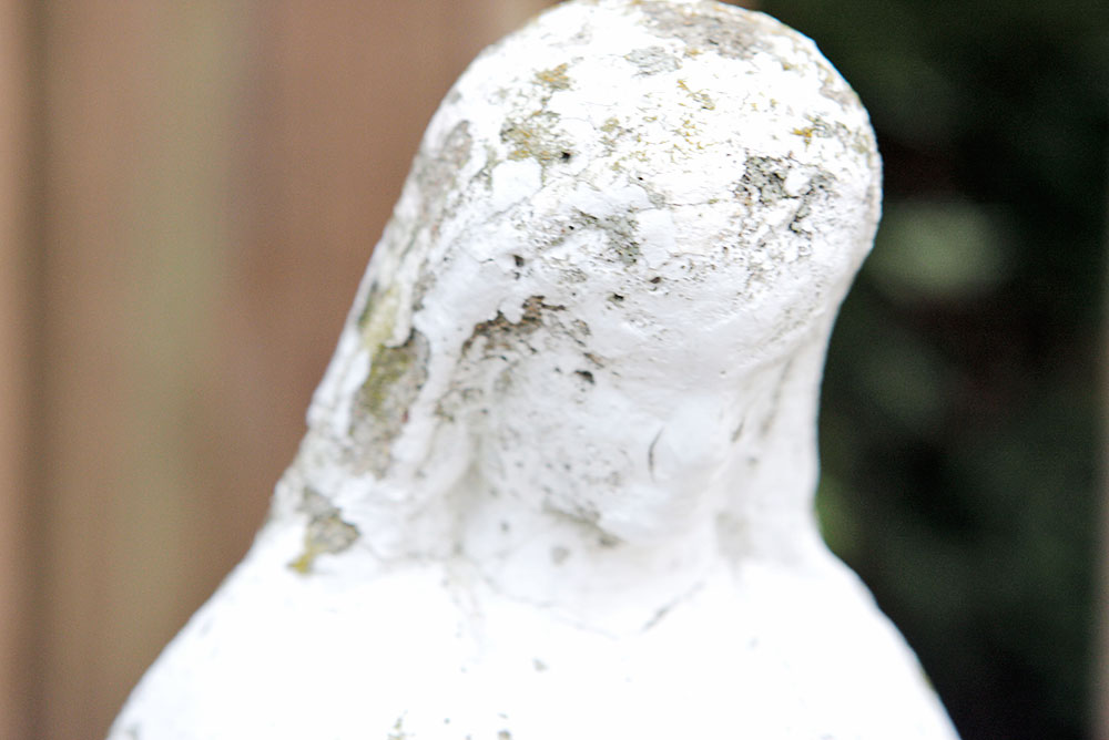 Collection of Interesting Garden Accessories