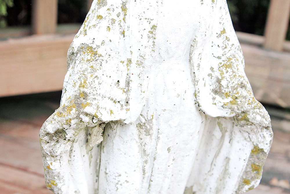 Collection of Interesting Garden Accessories