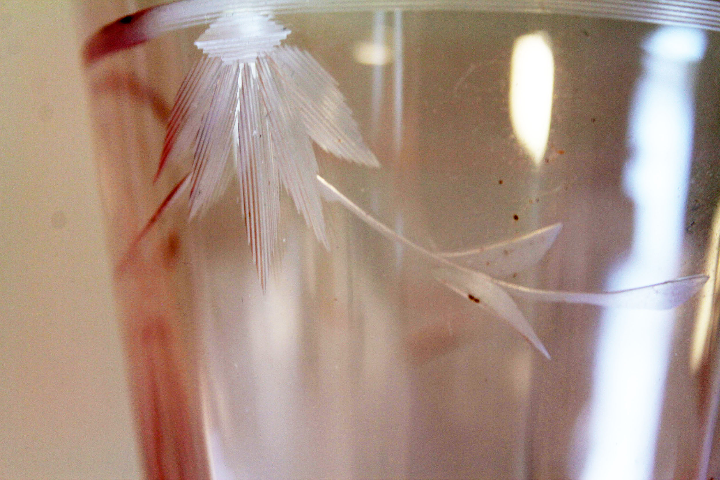Vintage Etched Pink Ice Tea Glasses
