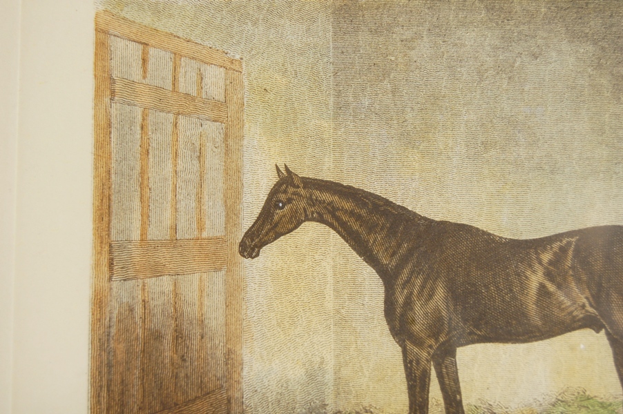 "Frederick" Engraving by J. Barenger and J. Webb