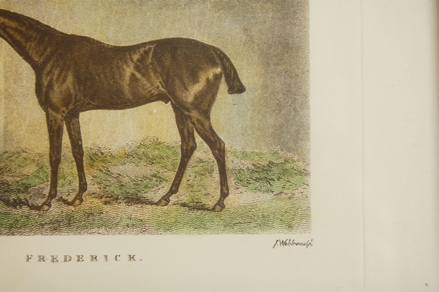 "Frederick" Engraving by J. Barenger and J. Webb