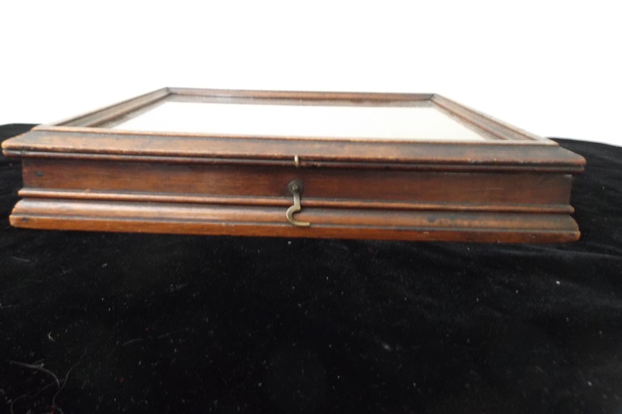 Vintage Esterbrooks Nibs Countertop Display Case