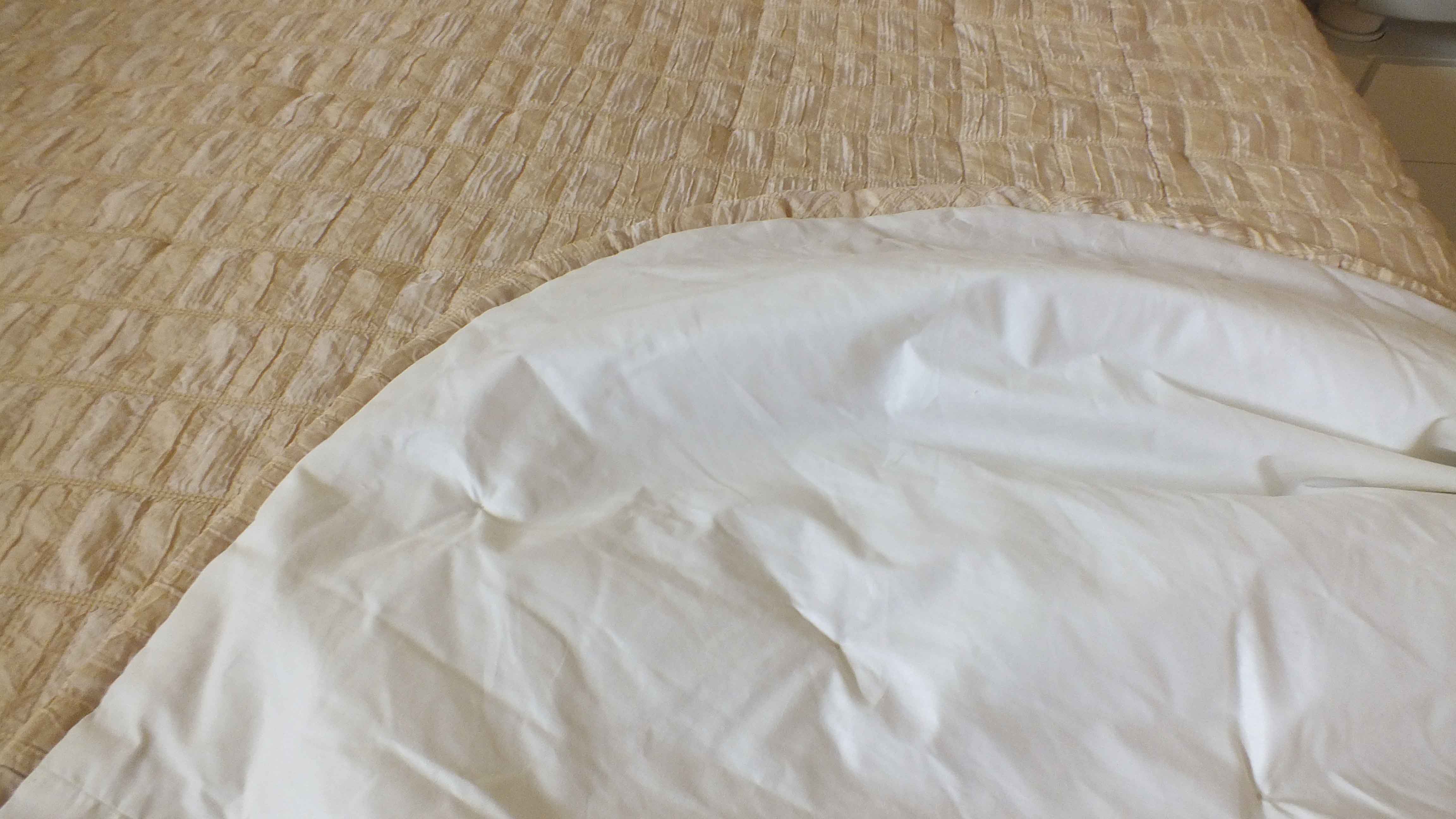 Legett Platt Adjustable King Size Bed System and Dormia Mattress