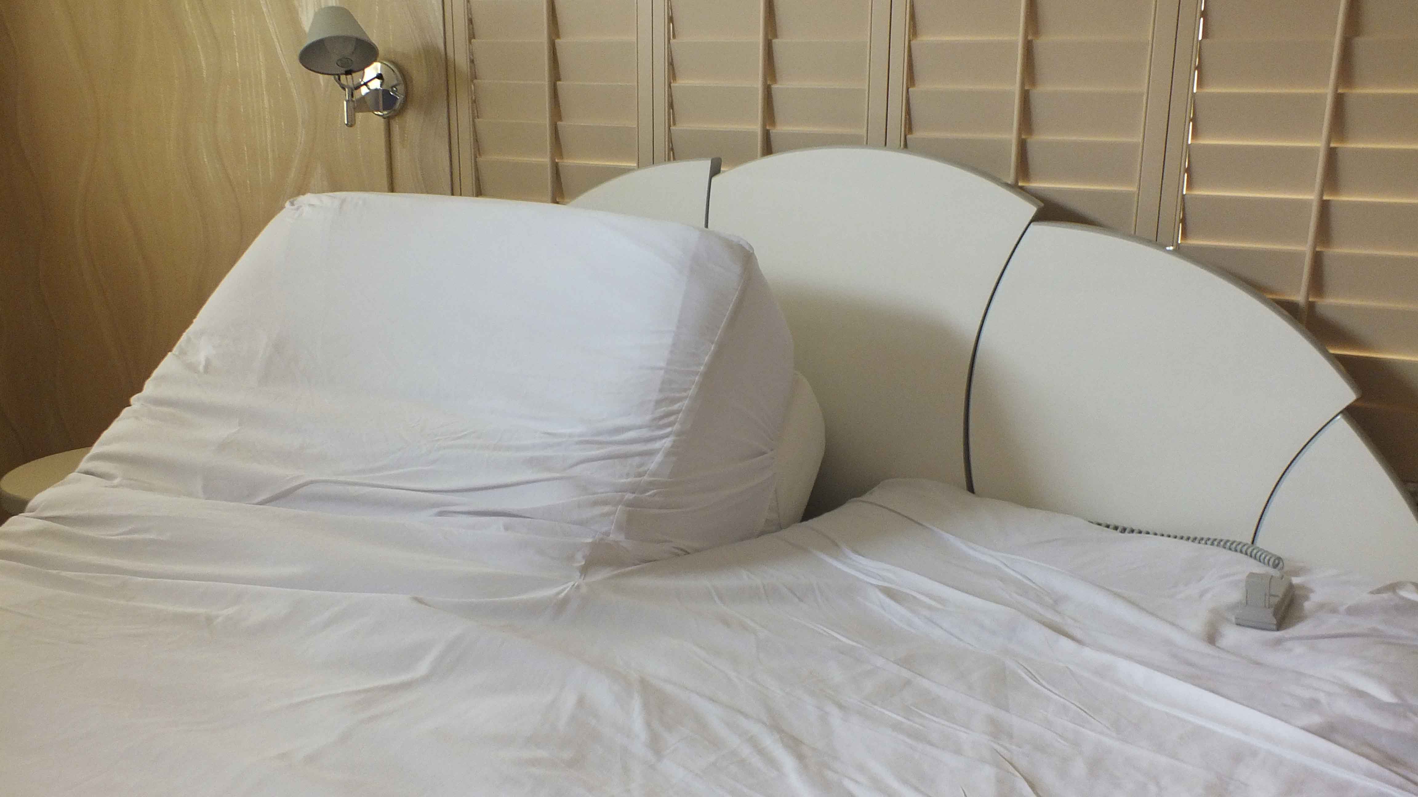 Legett Platt Adjustable King Size Bed System and Dormia Mattress