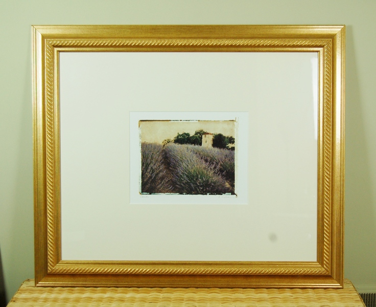 Photography Art "Lavender" by A. Melion