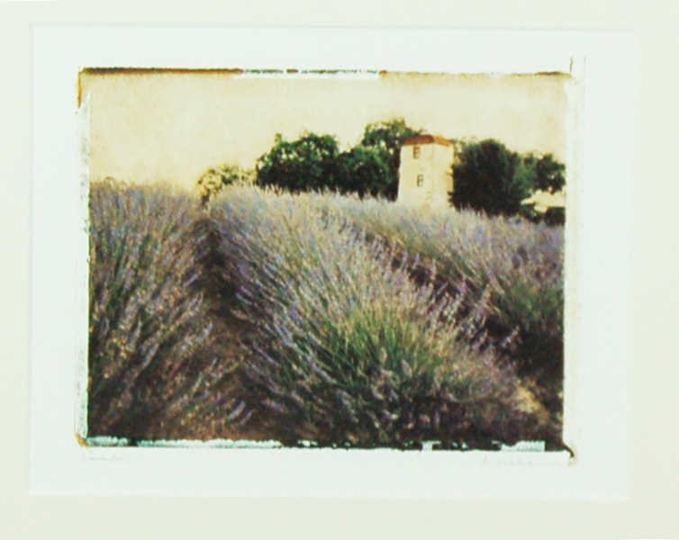 Photography Art "Lavender" by A. Melion