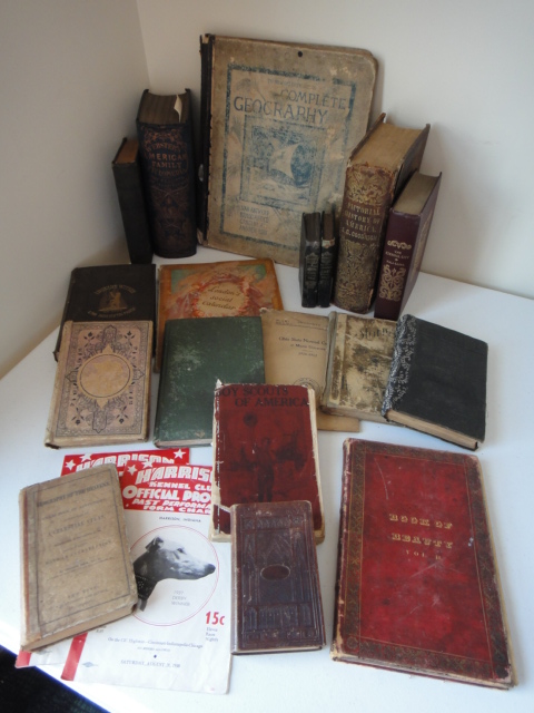 Collection of Twenty Vintage Books