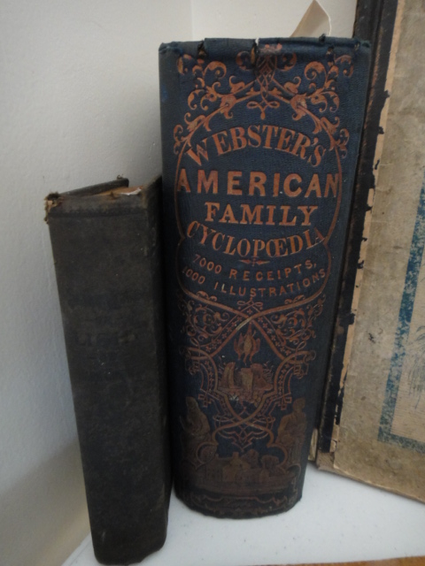 Collection of Twenty Vintage Books