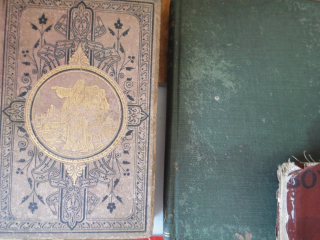 Collection of Twenty Vintage Books