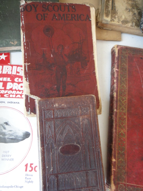 Collection of Twenty Vintage Books