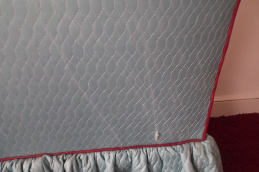 Quilted Boudoir Arm Chair