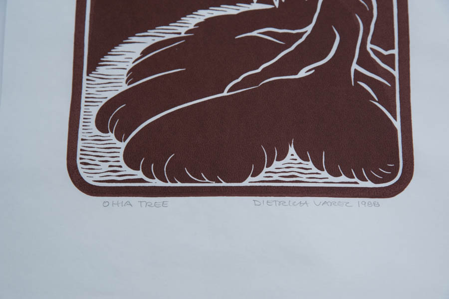 Dietrich Varez Hawaiian Block Prints