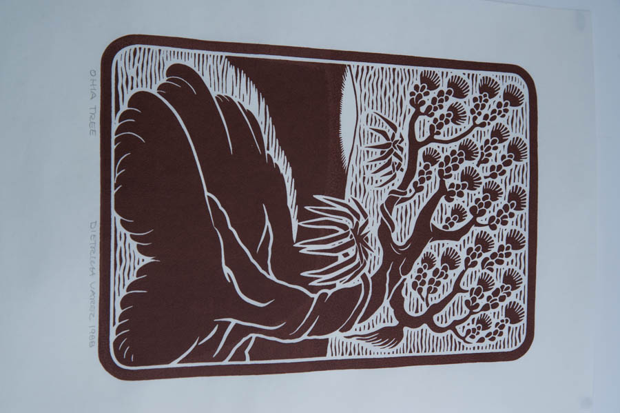 Dietrich Varez Hawaiian Block Prints