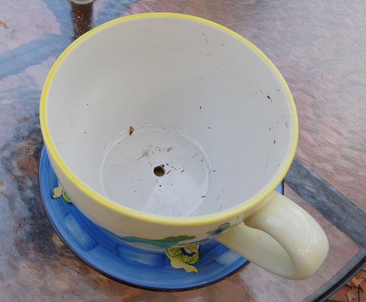 Large Tea Cup and Saucer Planter