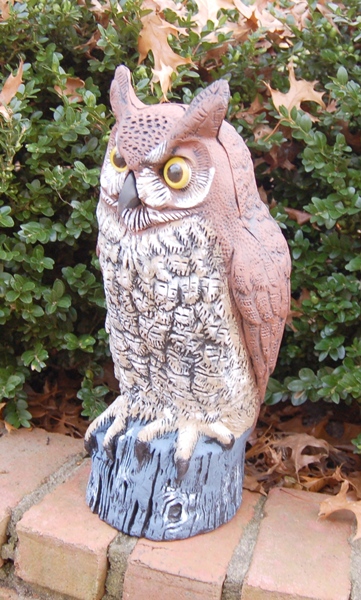 Fierce Looking Garden Owl