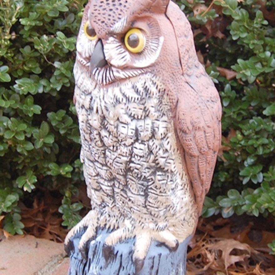 Fierce Looking Garden Owl