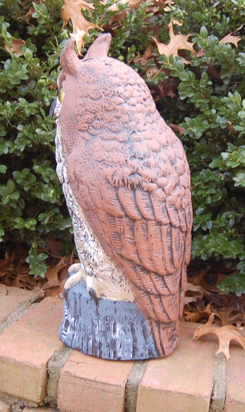 Fierce Looking Garden Owl