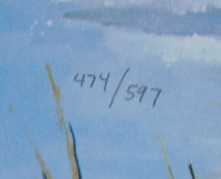 Dino Costanzo Signed Lithograph Print of Two Pheasant