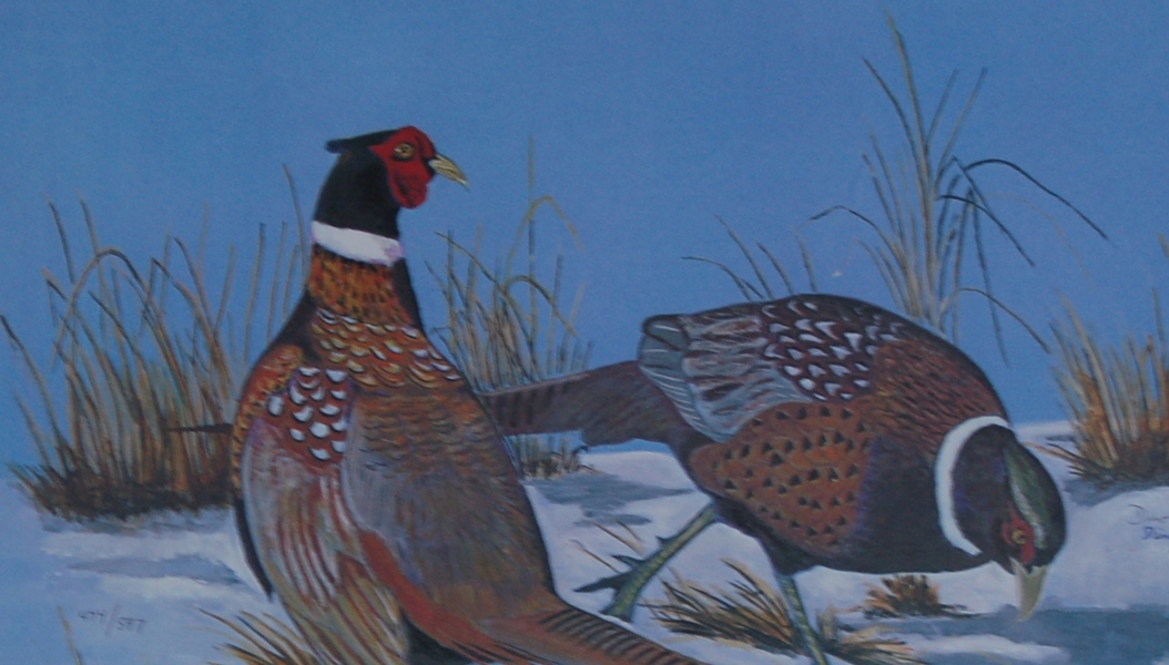Dino Costanzo Signed Lithograph Print of Two Pheasant