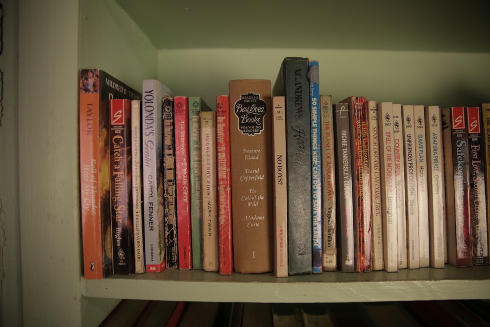 Assortment of Classics and Paperback Novels