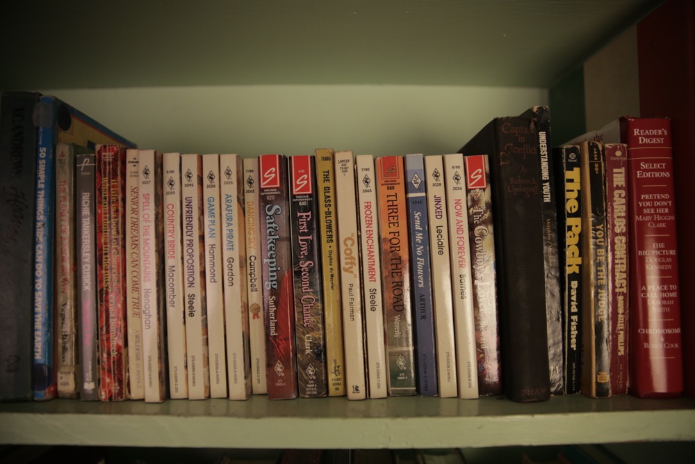 Assortment of Classics and Paperback Novels