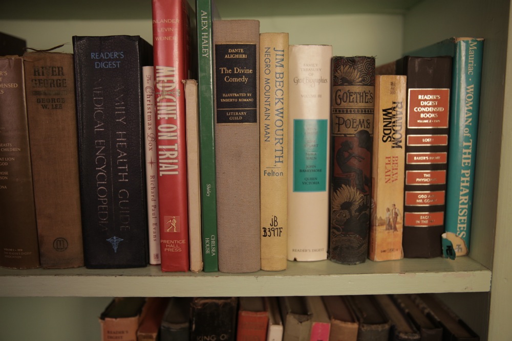 Assortment of Classics and Paperback Novels