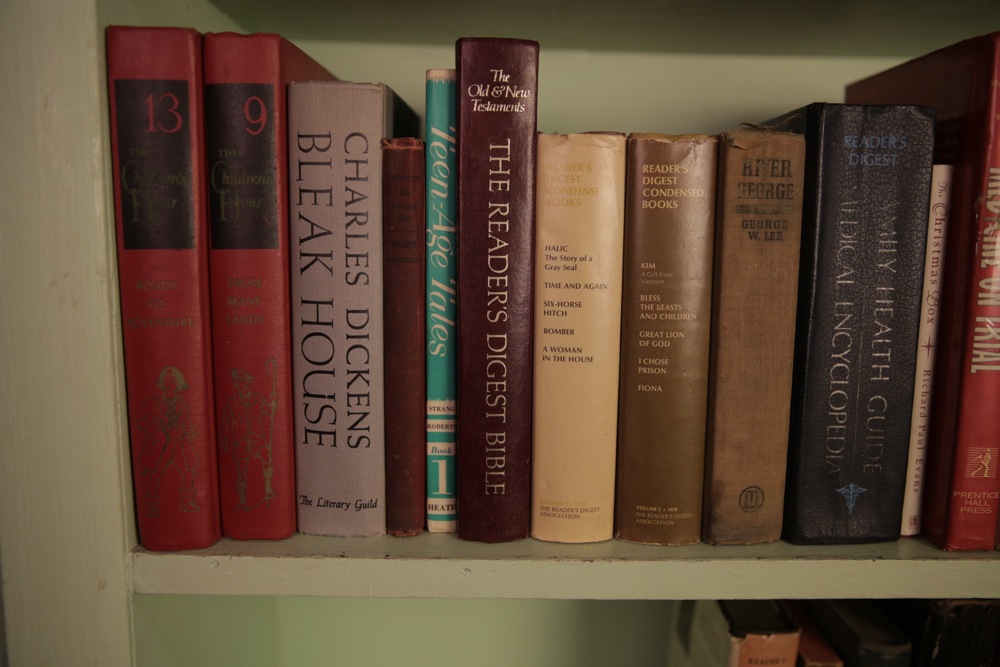 Assortment of Classics and Paperback Novels