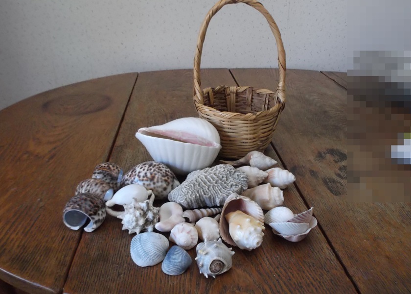 Basket of Seashells 