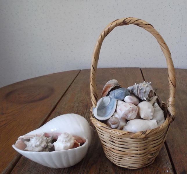 Basket of Seashells 