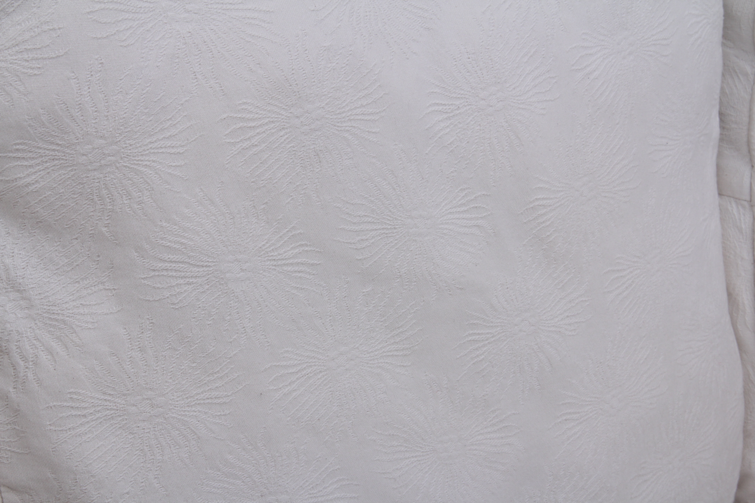 Arhaus Couch with Camden Collection Slipcovers