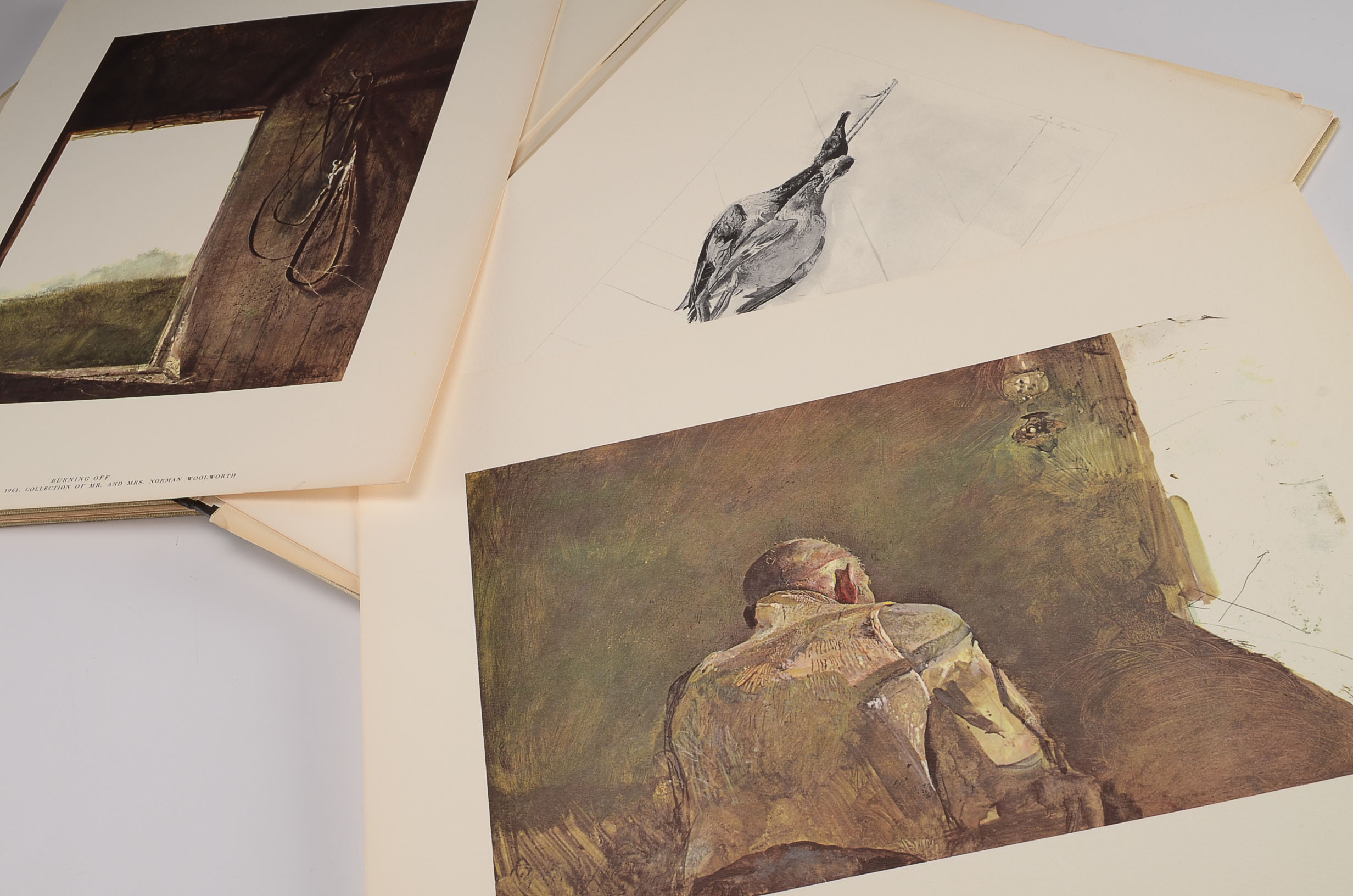 Andrew Wyeth Portfolio of Prints 