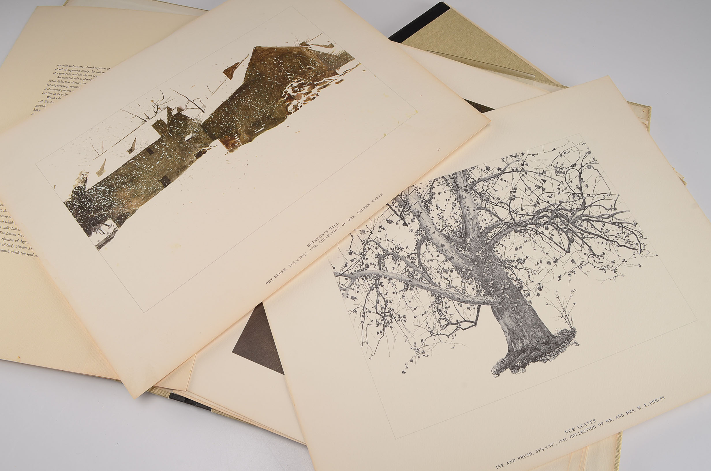 Andrew Wyeth Portfolio of Prints 