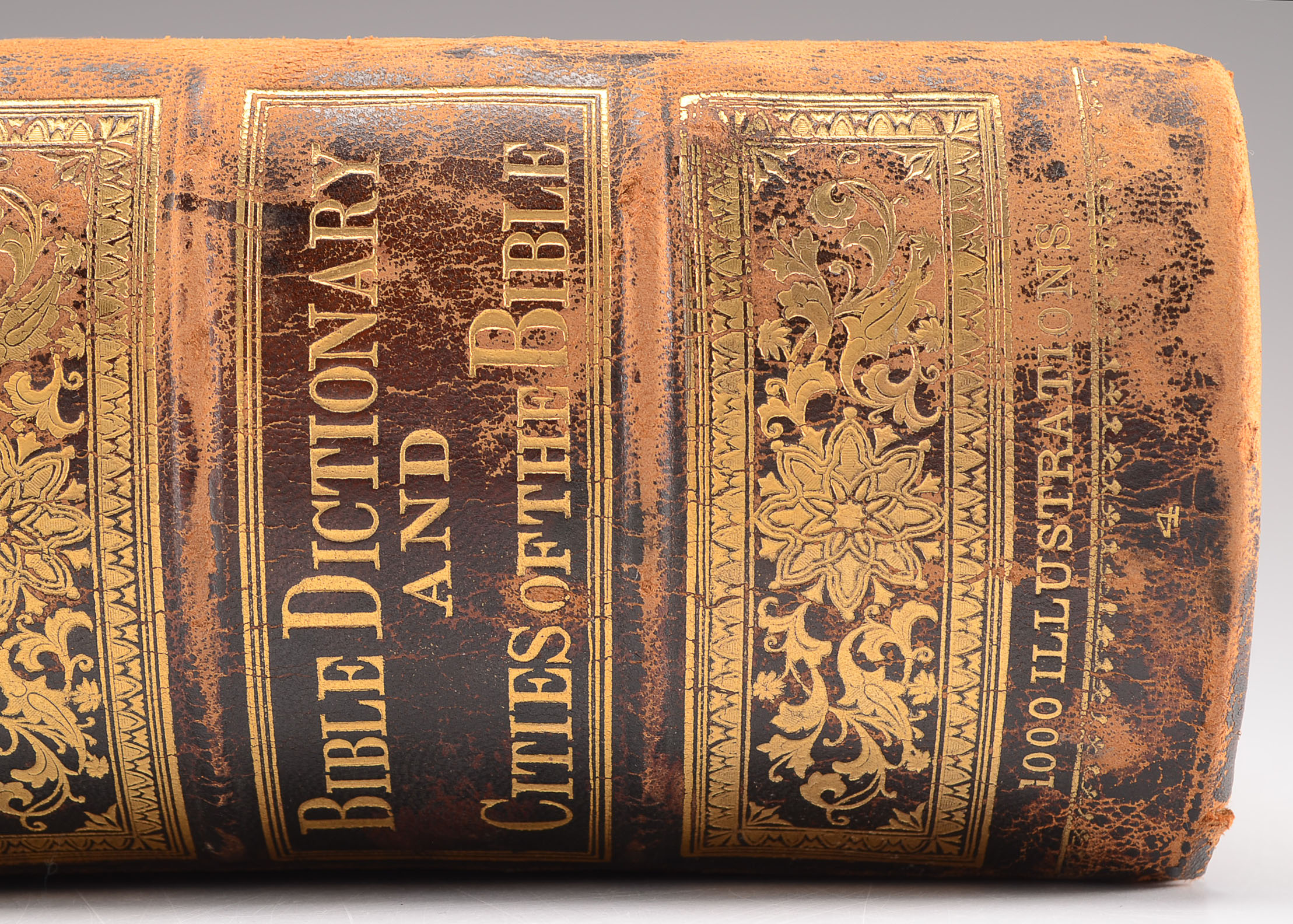 1885 Leather Bound Pictorial Bible 