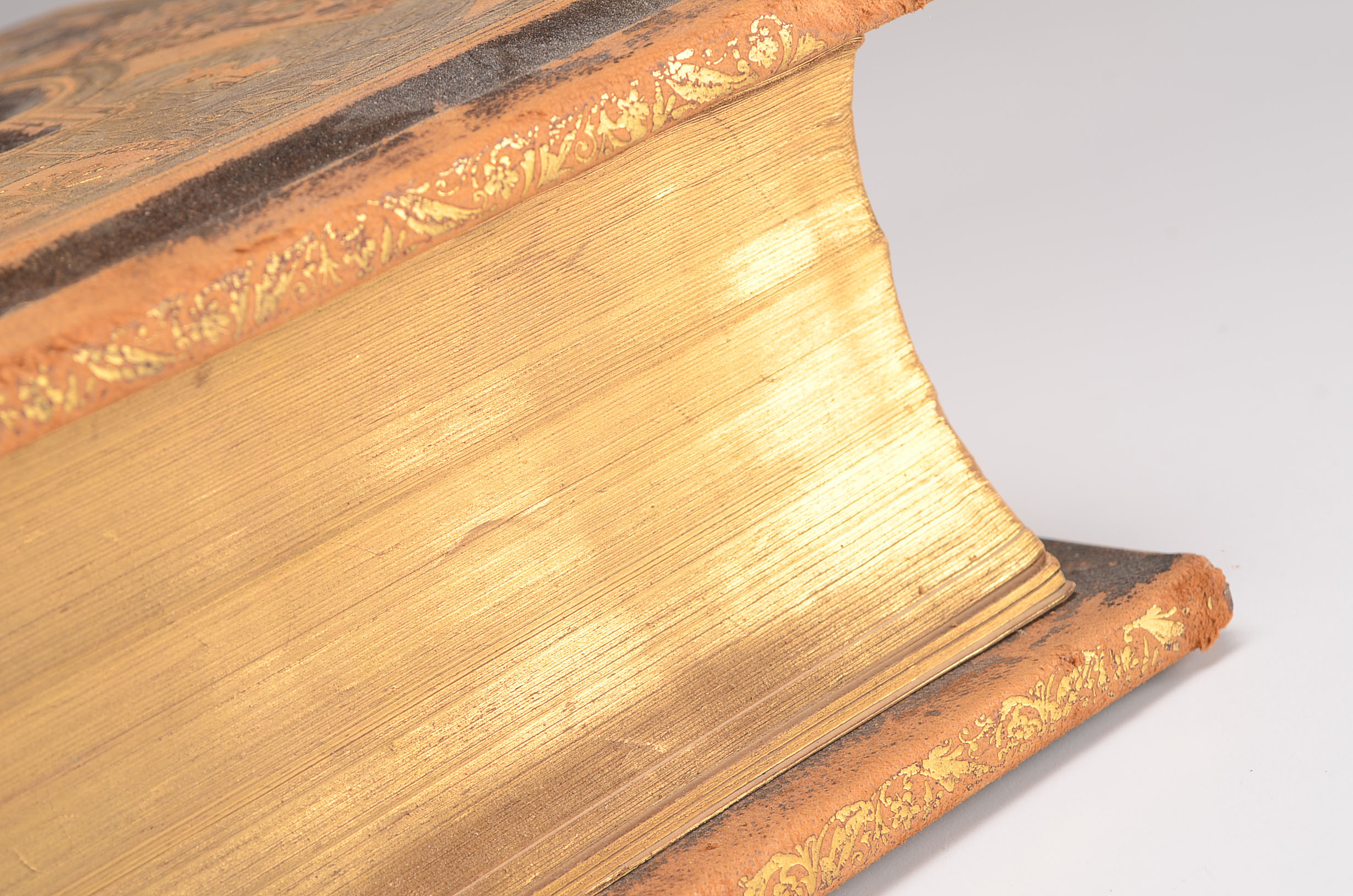 1885 Leather Bound Pictorial Bible 