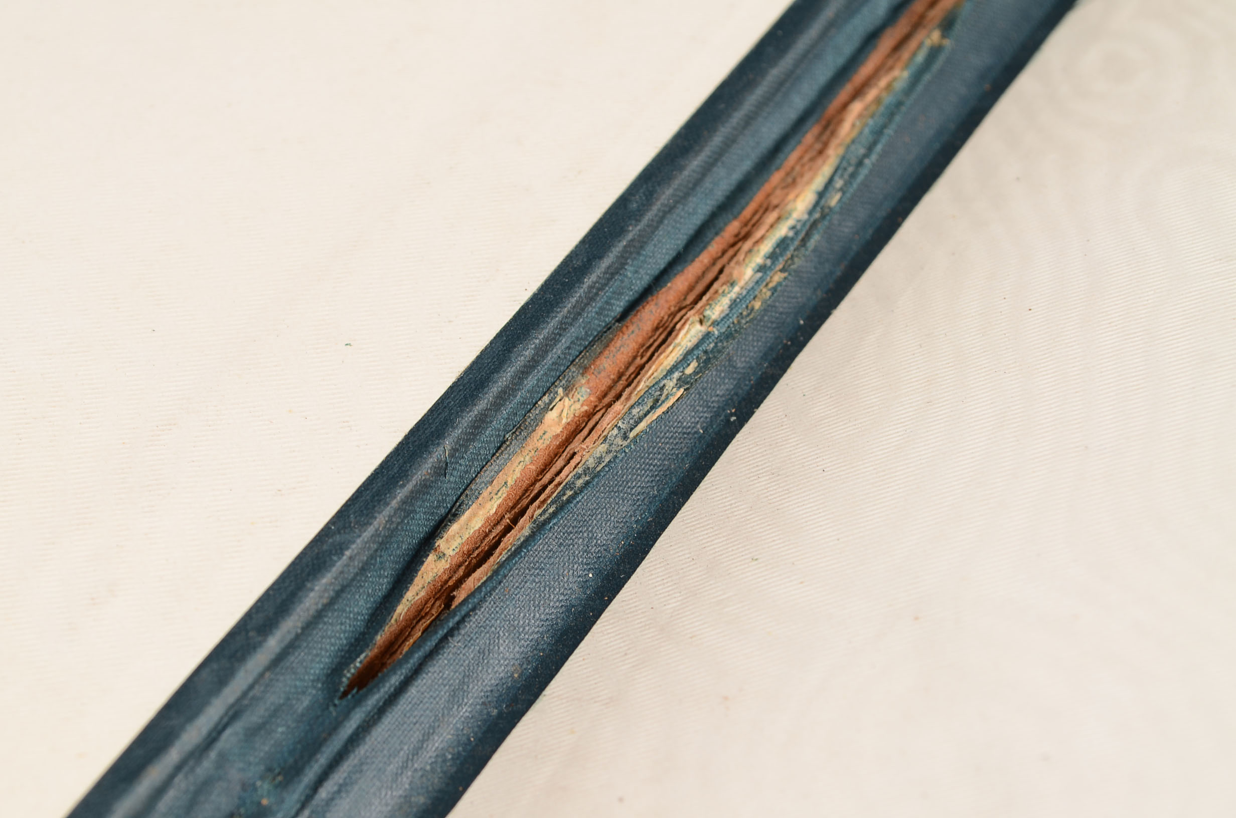 1885 Leather Bound Pictorial Bible 