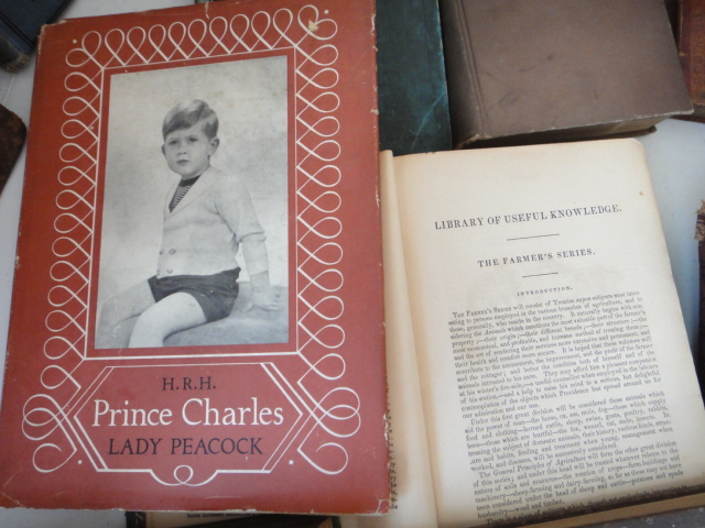 Collection of Twenty-Four Vintage Books