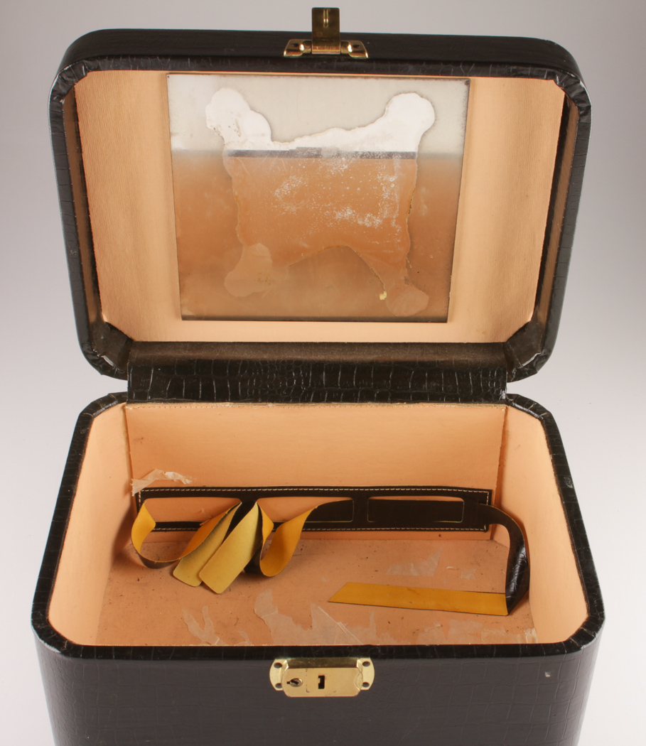 Vintage Faux Reptile Leather Case