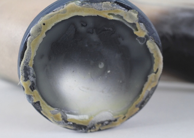 Glo Coalson Raku Pottery Pigeon 164/250