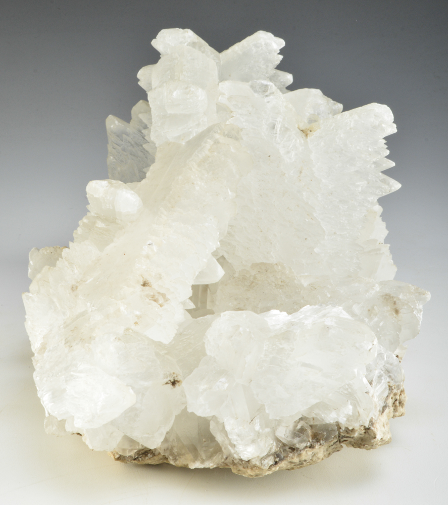 Very Large Fishtail Selenite Specimen