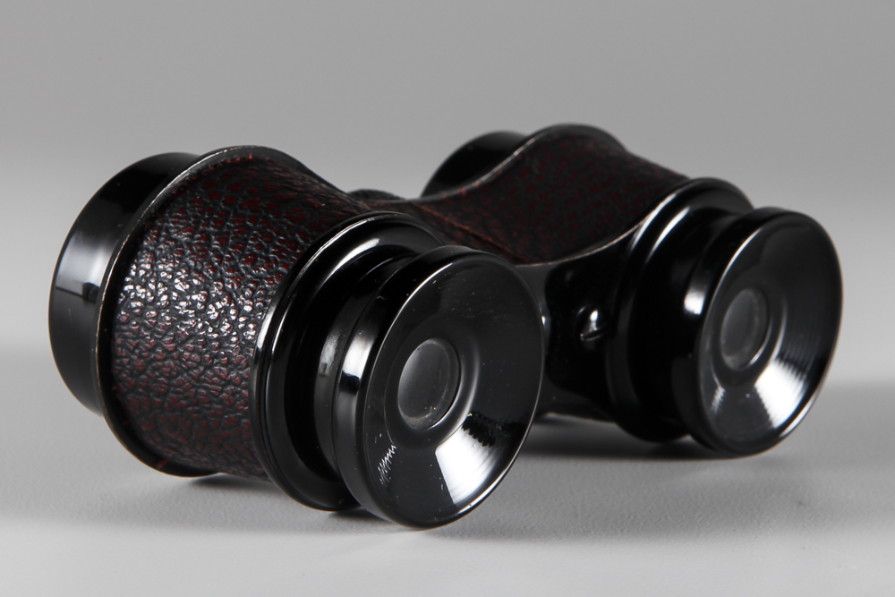 Selsi and Lewis Binoculars